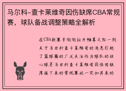 马尔科-查卡莱维奇因伤缺席CBA常规赛，球队备战调整策略全解析